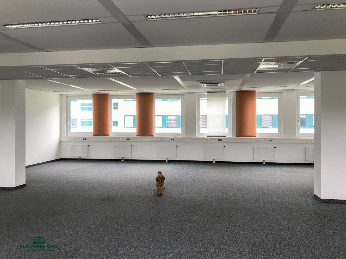 Großzügige moderne Büroeinheit im Norden Salzburgs