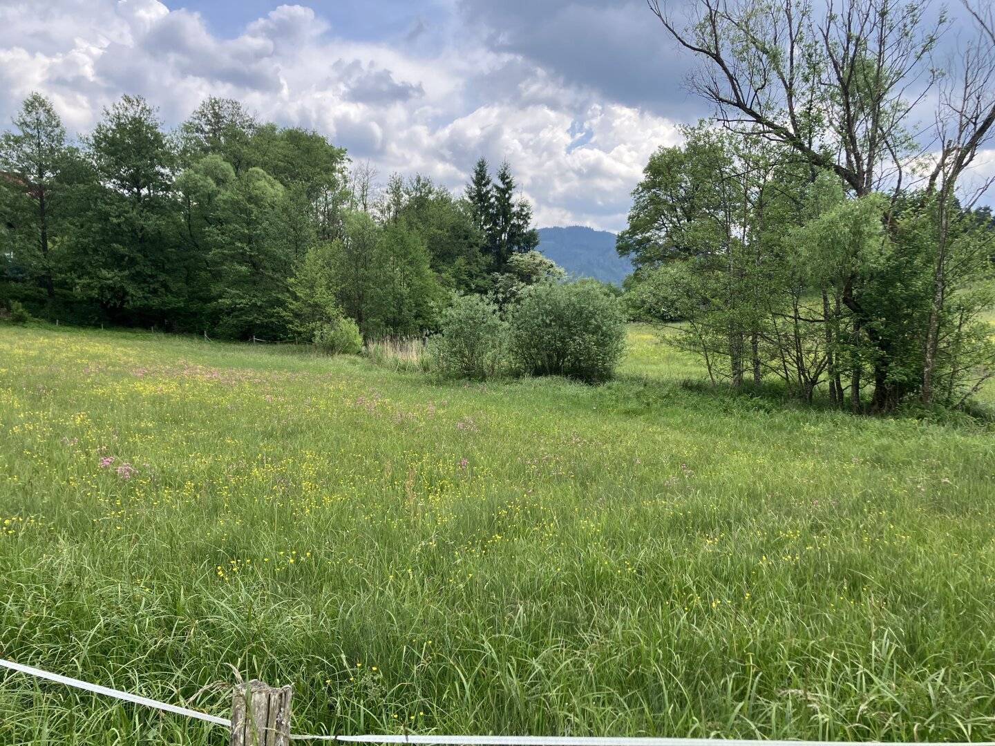 BAULAND DORFGEBIET! TRAUMHAFTES BAUGRUNDSTÜCK IN ST. GEORGEN AM LÄNGSEE