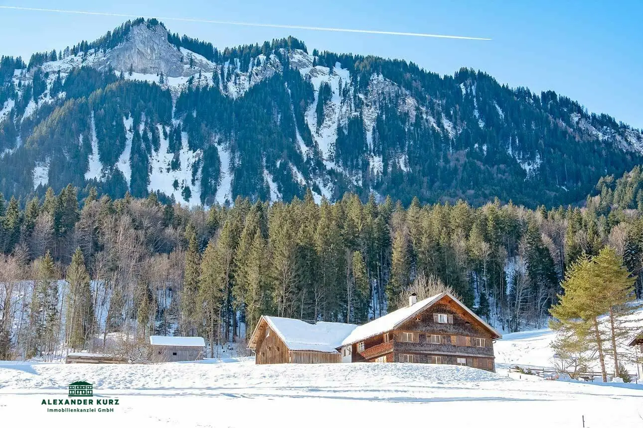 Small farm in the Bregenzerwald ski area, Mellau - Damüls