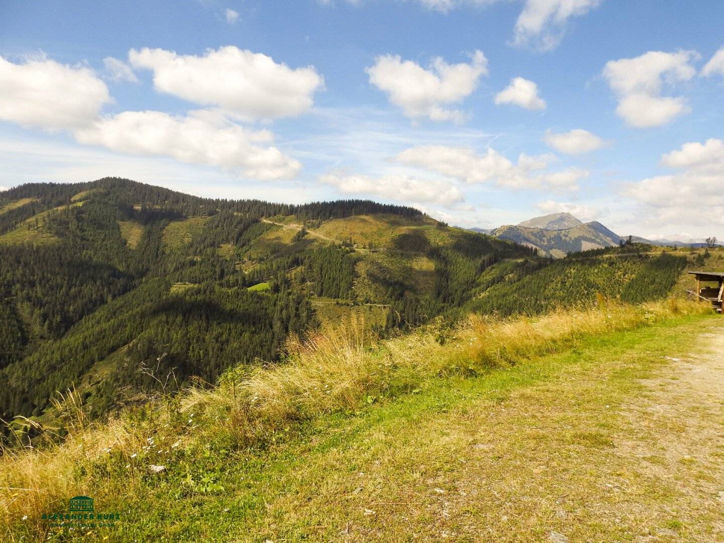 Pachtjagd, ca. 2.000 ha zentral in Österreich