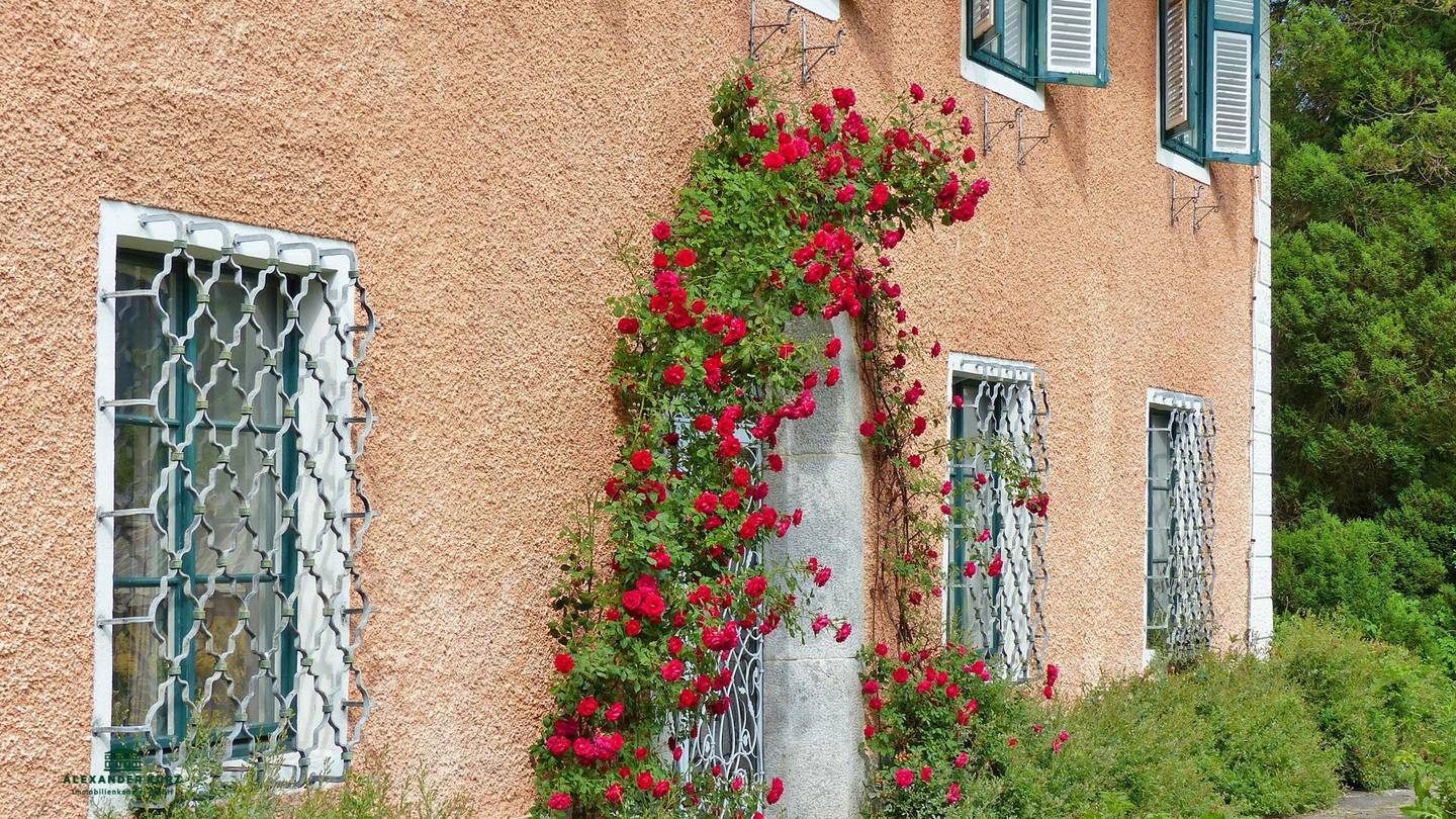 Manor House in the Drau Valley