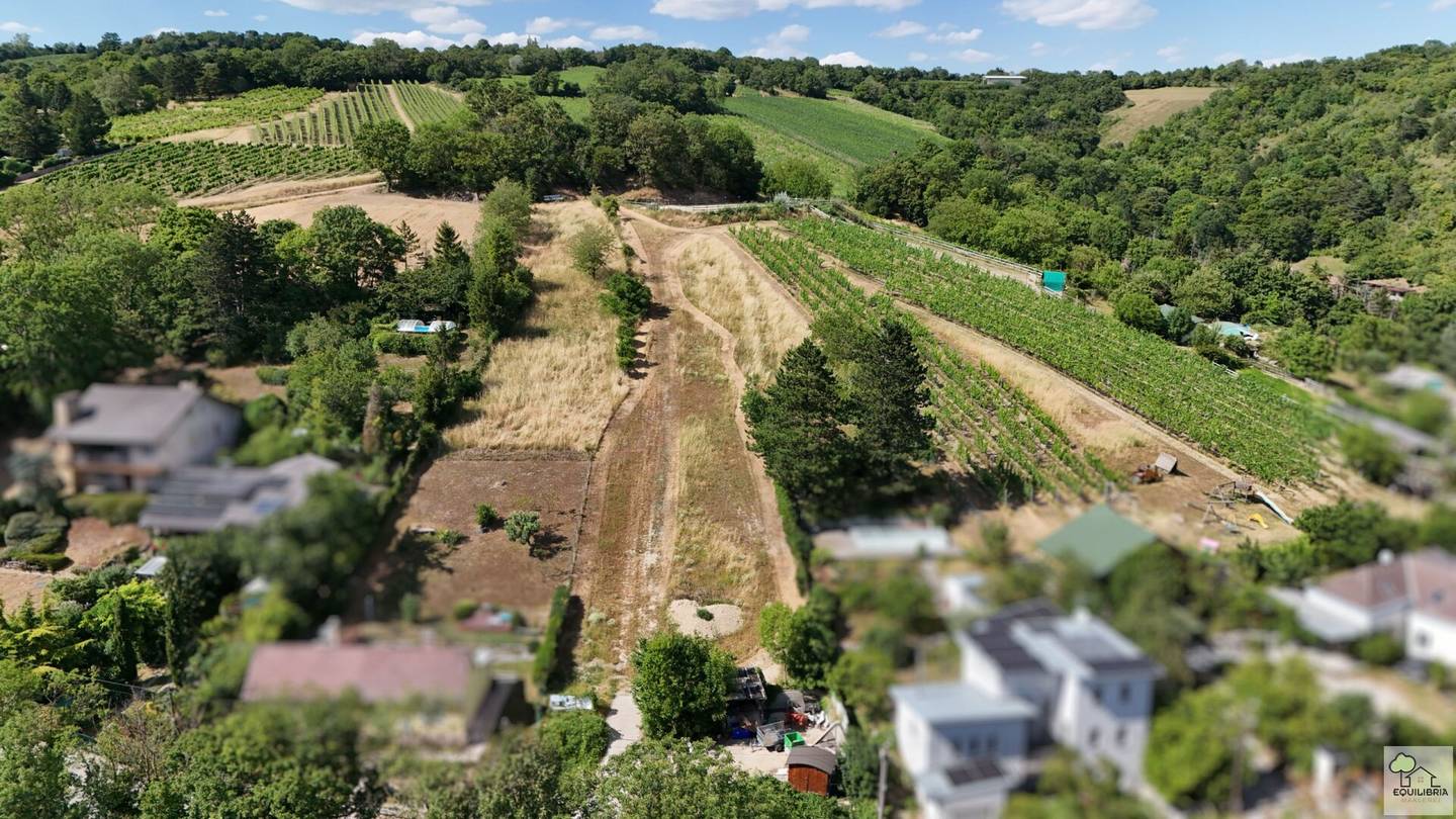 TRAUMHAFTER VILLENGRUND IN SONNIGER SÜDRUHELAGE MIT ATEMBERAUBENDEM WEITBLICK-KLOSTERNEUBURG-WEIDLING