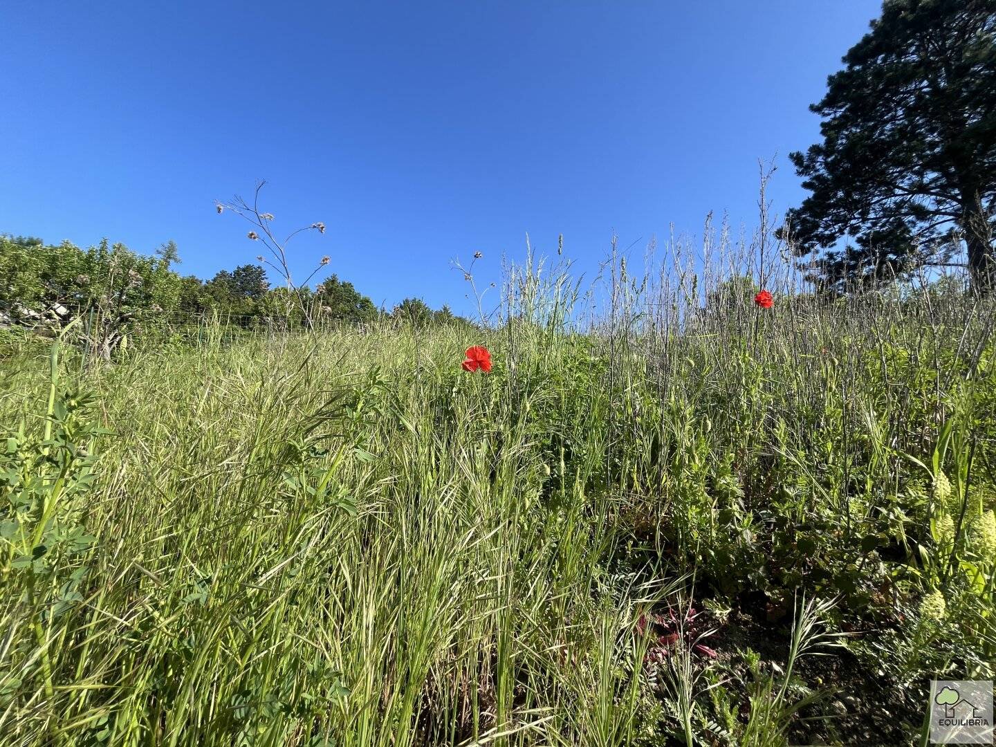 TRAUMHAFTER VILLENGRUND IN SONNIGER SÜDRUHELAGE MIT ATEMBERAUBENDEM WEITBLICK-KLOSTERNEUBURG-WEIDLING