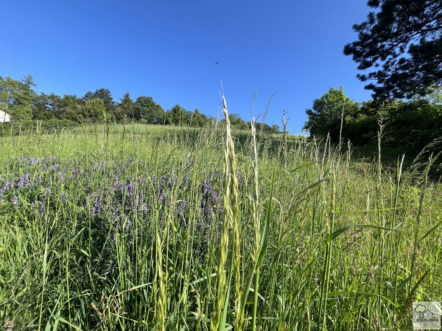 TRAUMHAFTER VILLENGRUND IN SONNIGER SÜDRUHELAGE MIT ATEMBERAUBENDEM WEITBLICK-KLOSTERNEUBURG-WEIDLING