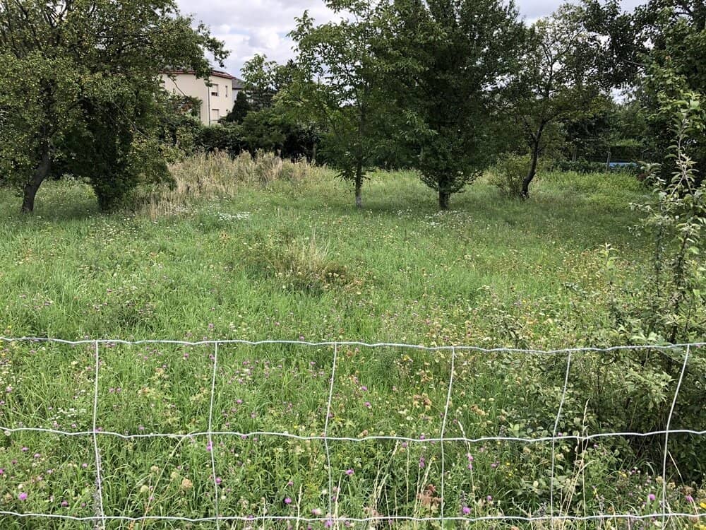 Dream building plot in Perchtoldsdorf for your home
