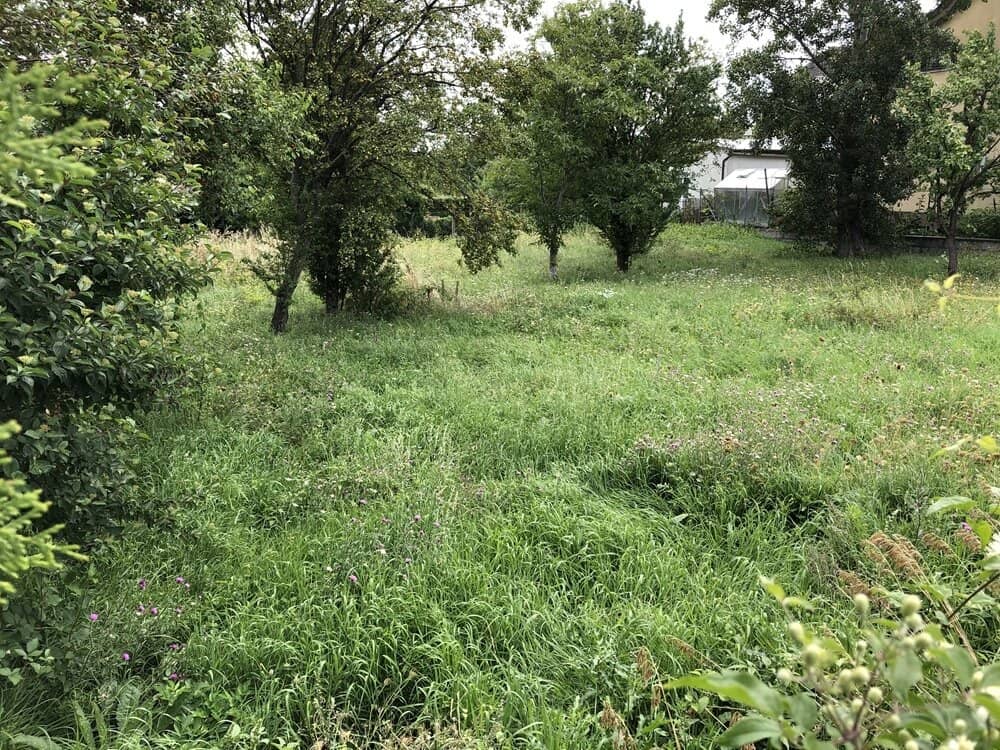 Dream building plot in Perchtoldsdorf for your home