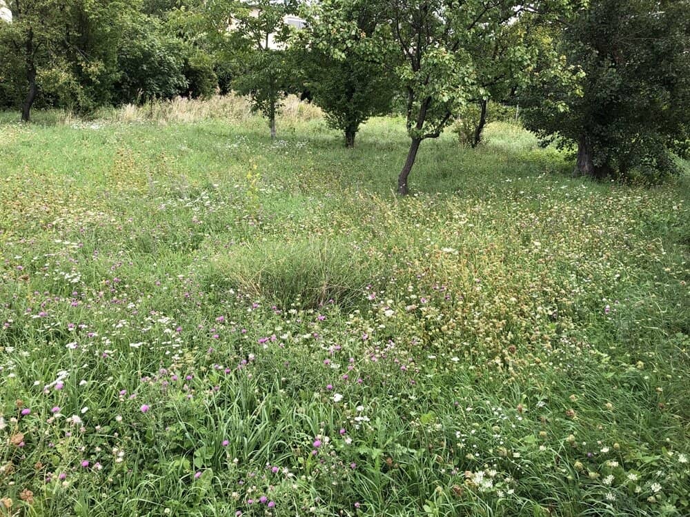 Dream building plot in Perchtoldsdorf for your home