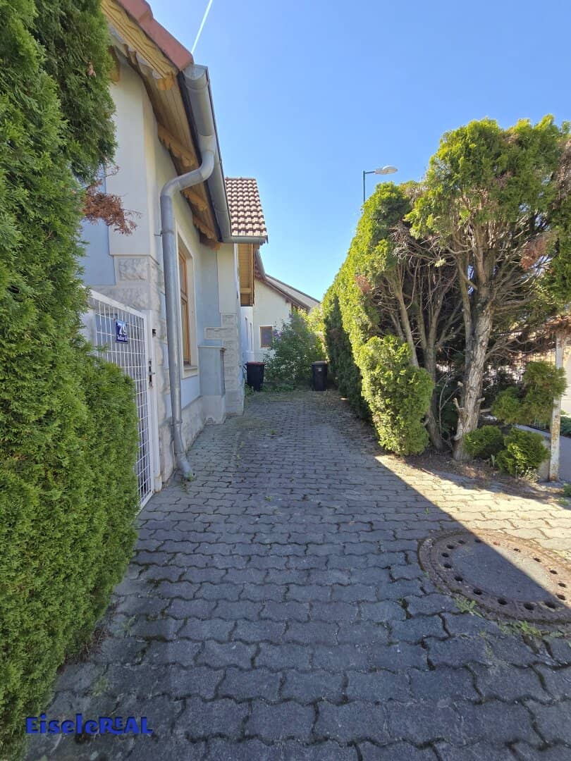 Older house seeks new owners with young ideas