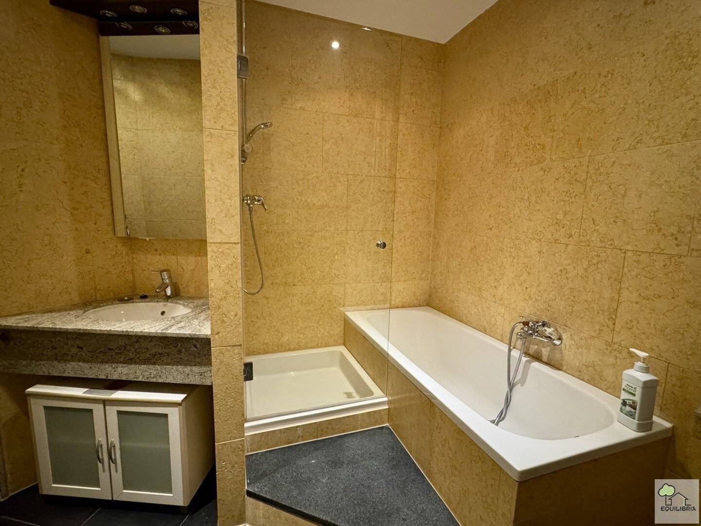 Stylishly renovated apartment near the Servitenviertel