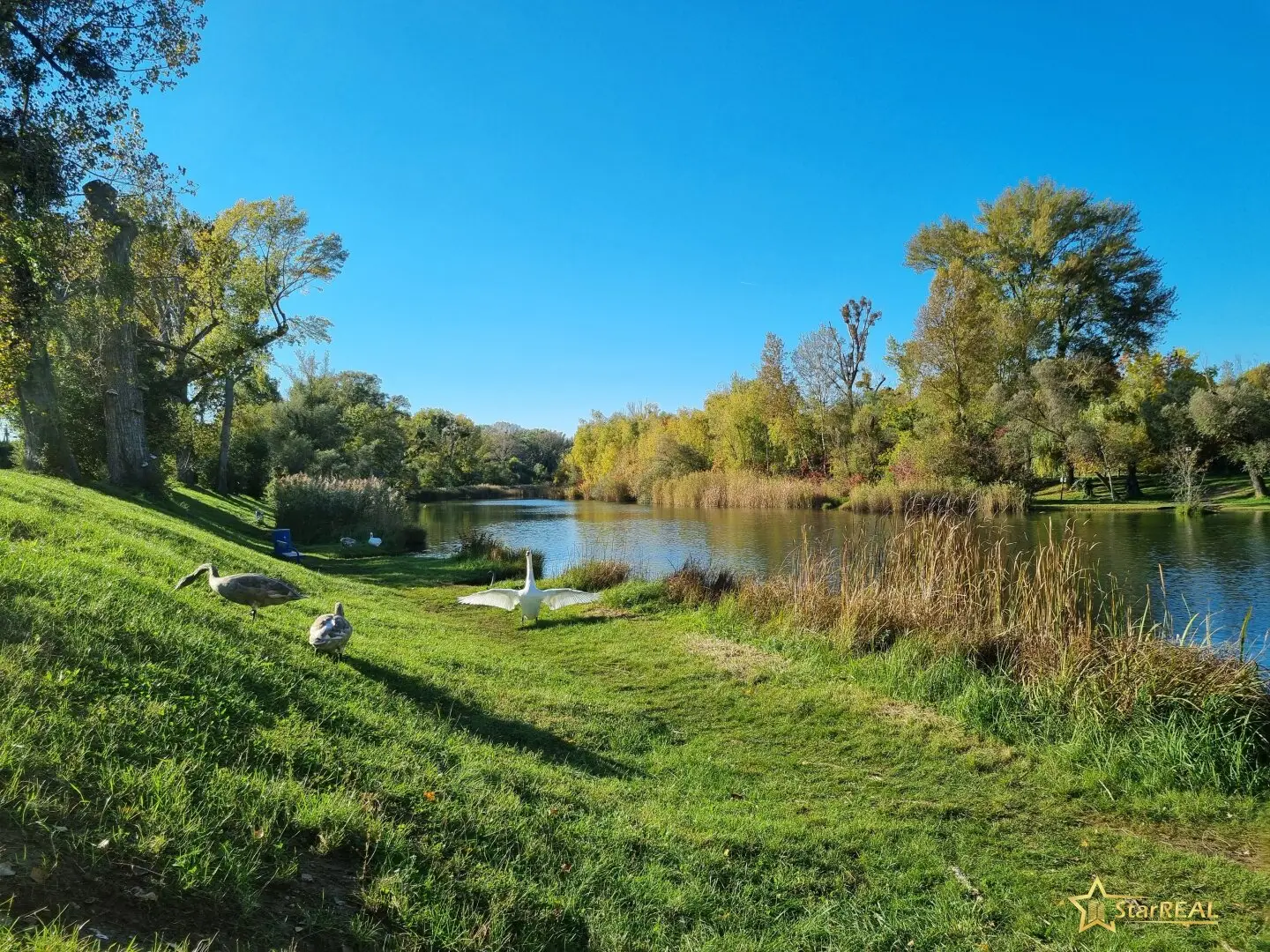 SUMMER SPECIAL! DREAM LOCATION! NEAR U2 DONAUSPITAL. PLOT DIRECTLY ON THE MÜHLWASSER.