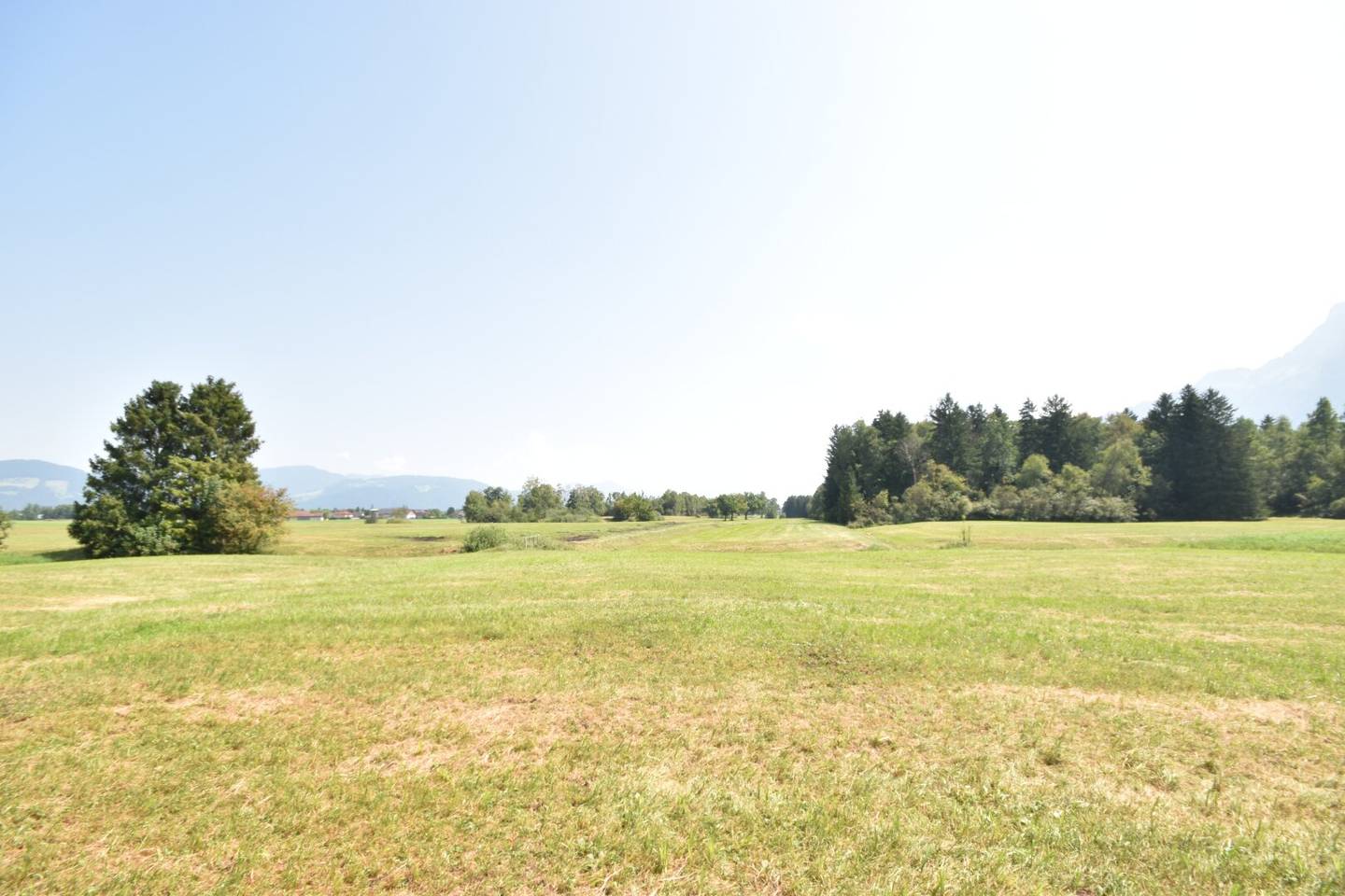 LEOPOLDSKRON-MOOS - Agricultural estate in a secluded location with unobstructed fortress and mountain views