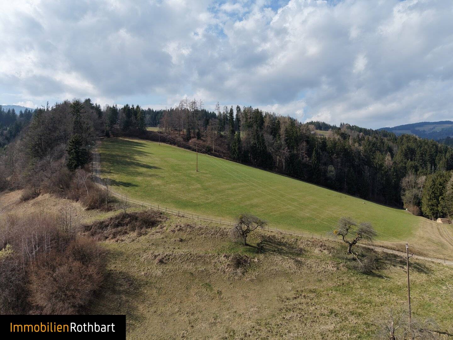 Wiesen und Wald