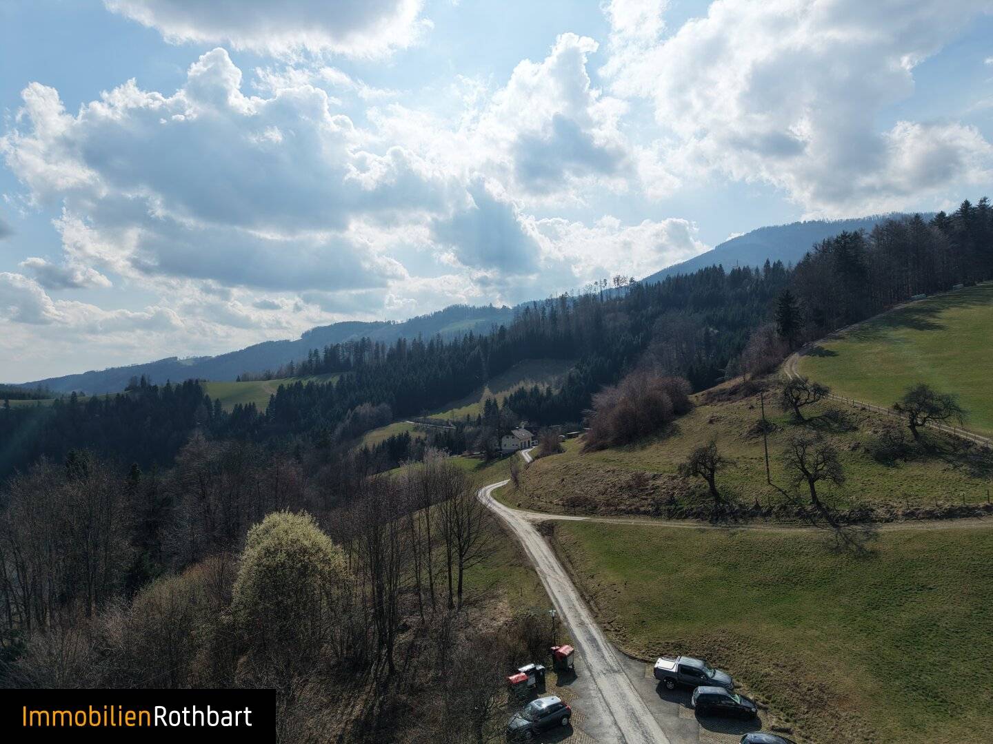 Wiesen und Wald