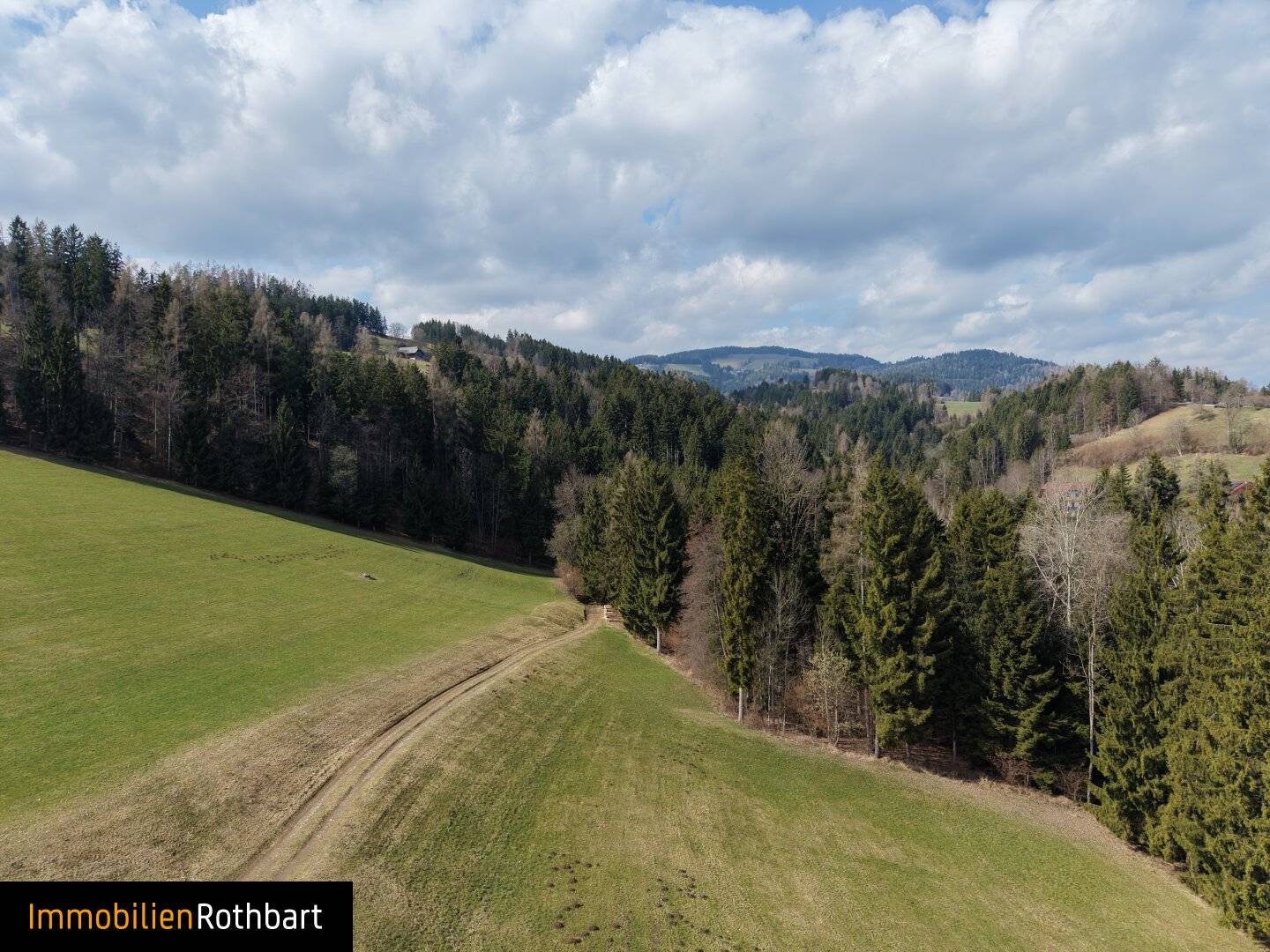 Wiesen und Wald