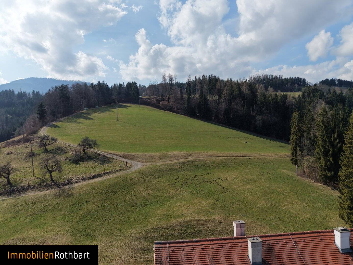 Wiesen und Wald