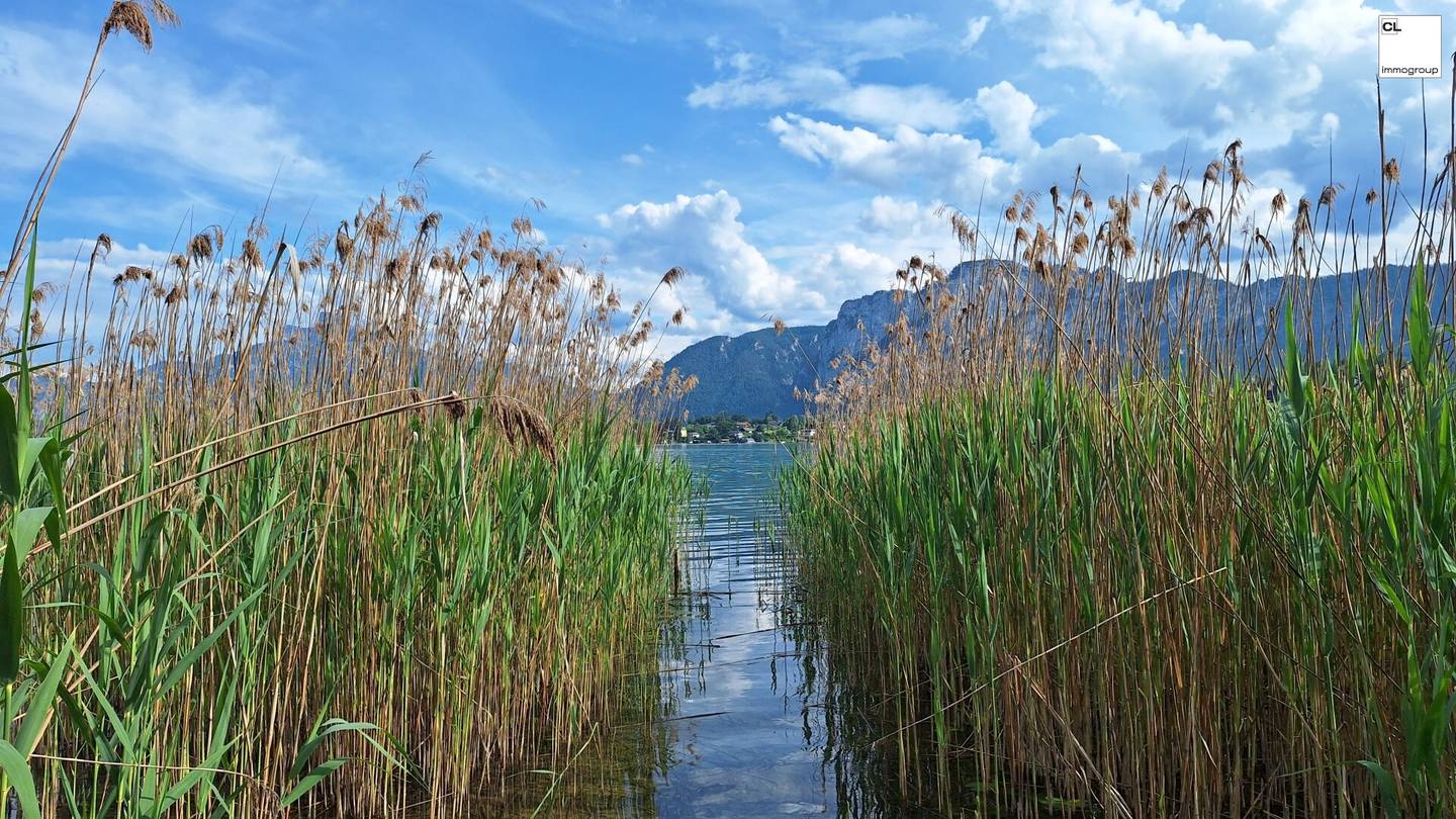 Erste Reihe Mondsee - Badeplatz zentrumsnah gelegen