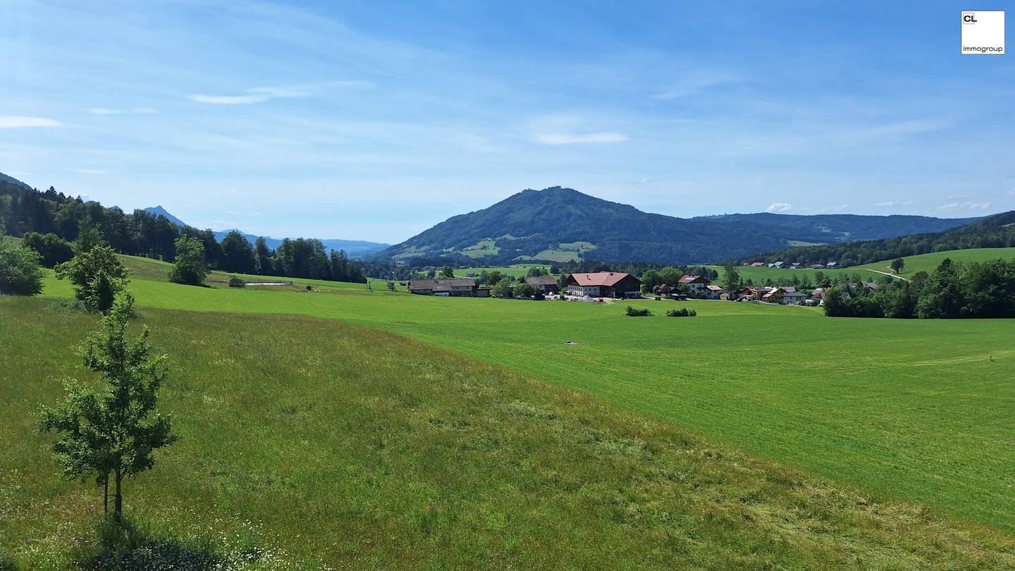 LETZTE EINHEIT! Zweitwohnsitz am Waldesrand im schönen Mondseeland - Alleinlage *provisionsfrei*