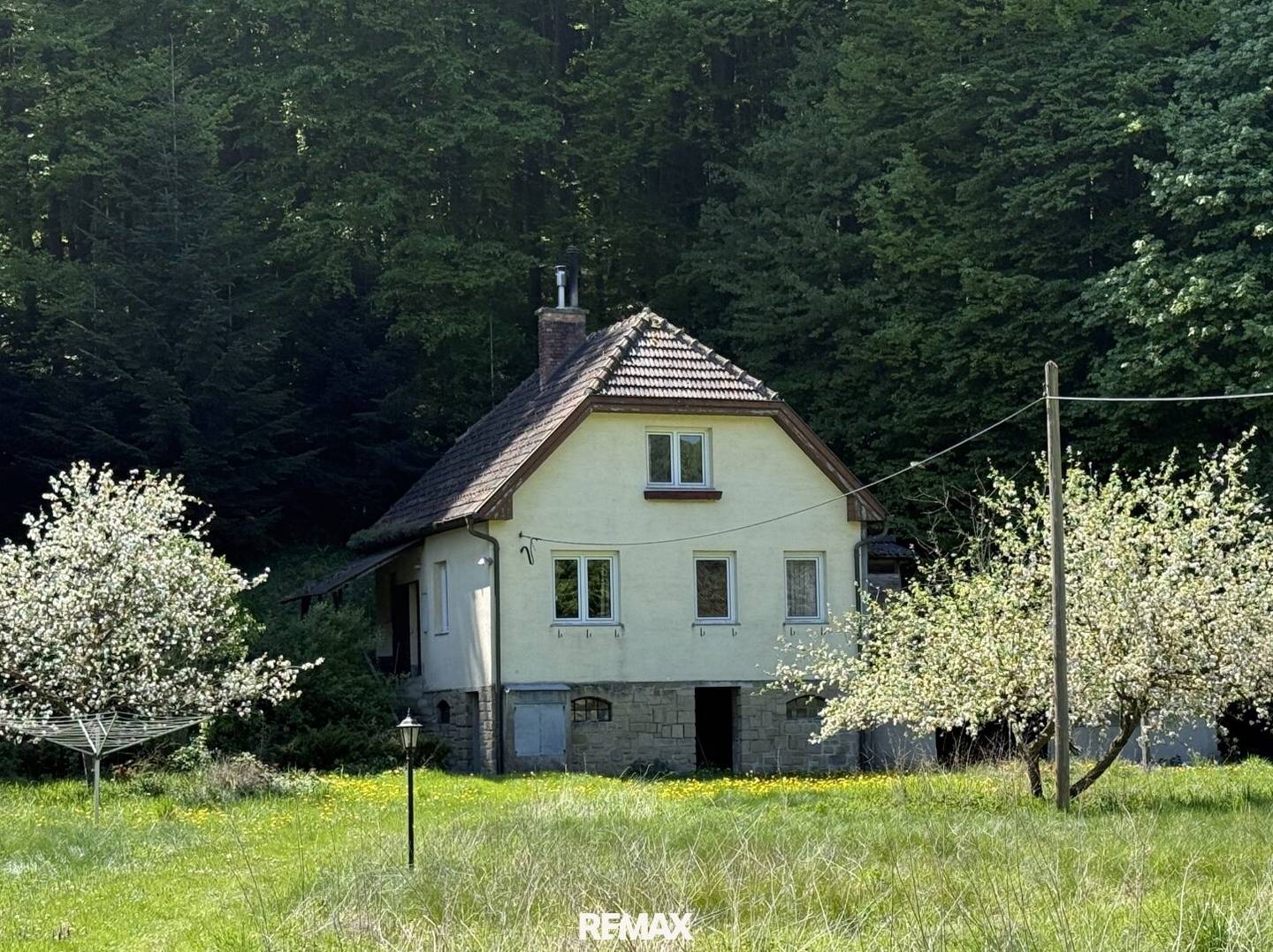 Ein Stück Zukunft im Grünen!