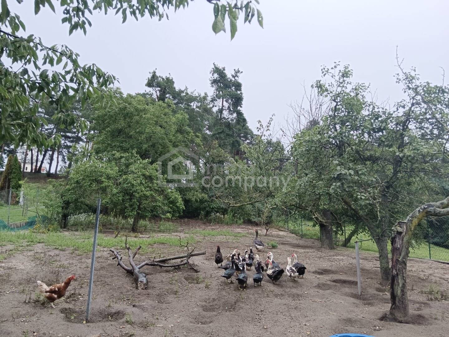 Einfamilienhaus in Lackendorf mit 140 m² Wohnfläche und großem Garten