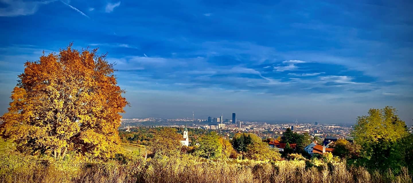 herbstlicher Blick über Wien