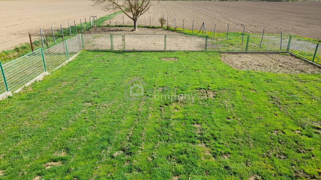 Garten 3