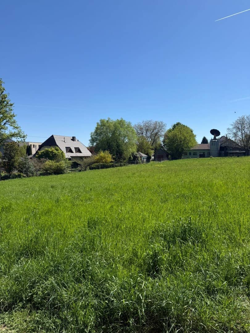 DOPPELHÄUSER in ZIMMERMEISTERQUALITÄT (ab 109 m² bis 140 m²) - nachhaltig leben im Marktort Neuhofen an der Krems