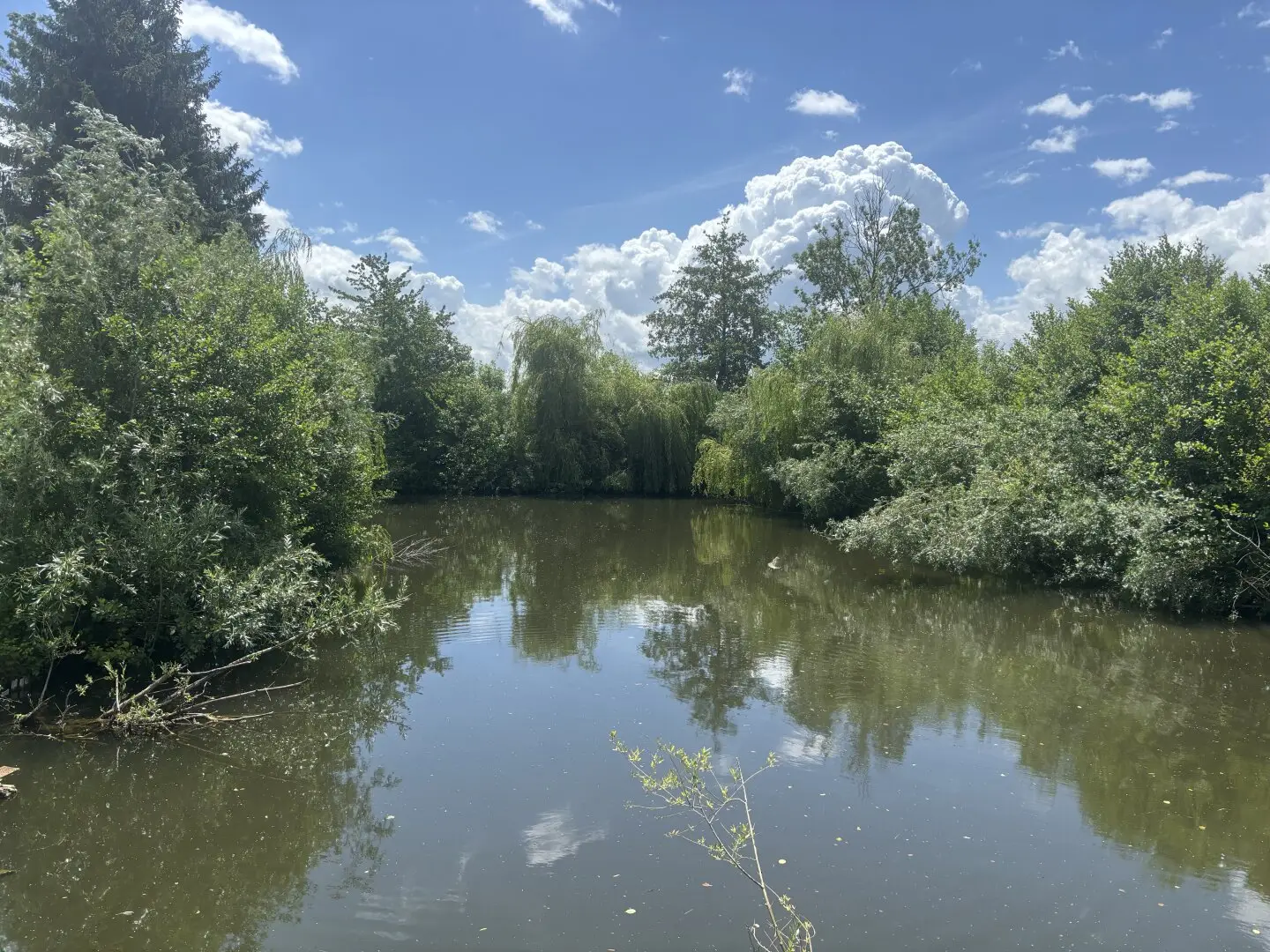 Digital bidding procedure: Sunny leisure property with an idyllic pond in a desirable location of Wels-Puchberg