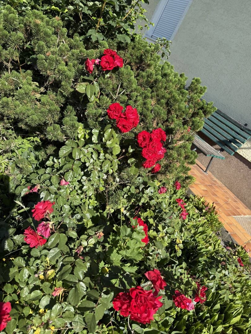 Immobilienbild 2