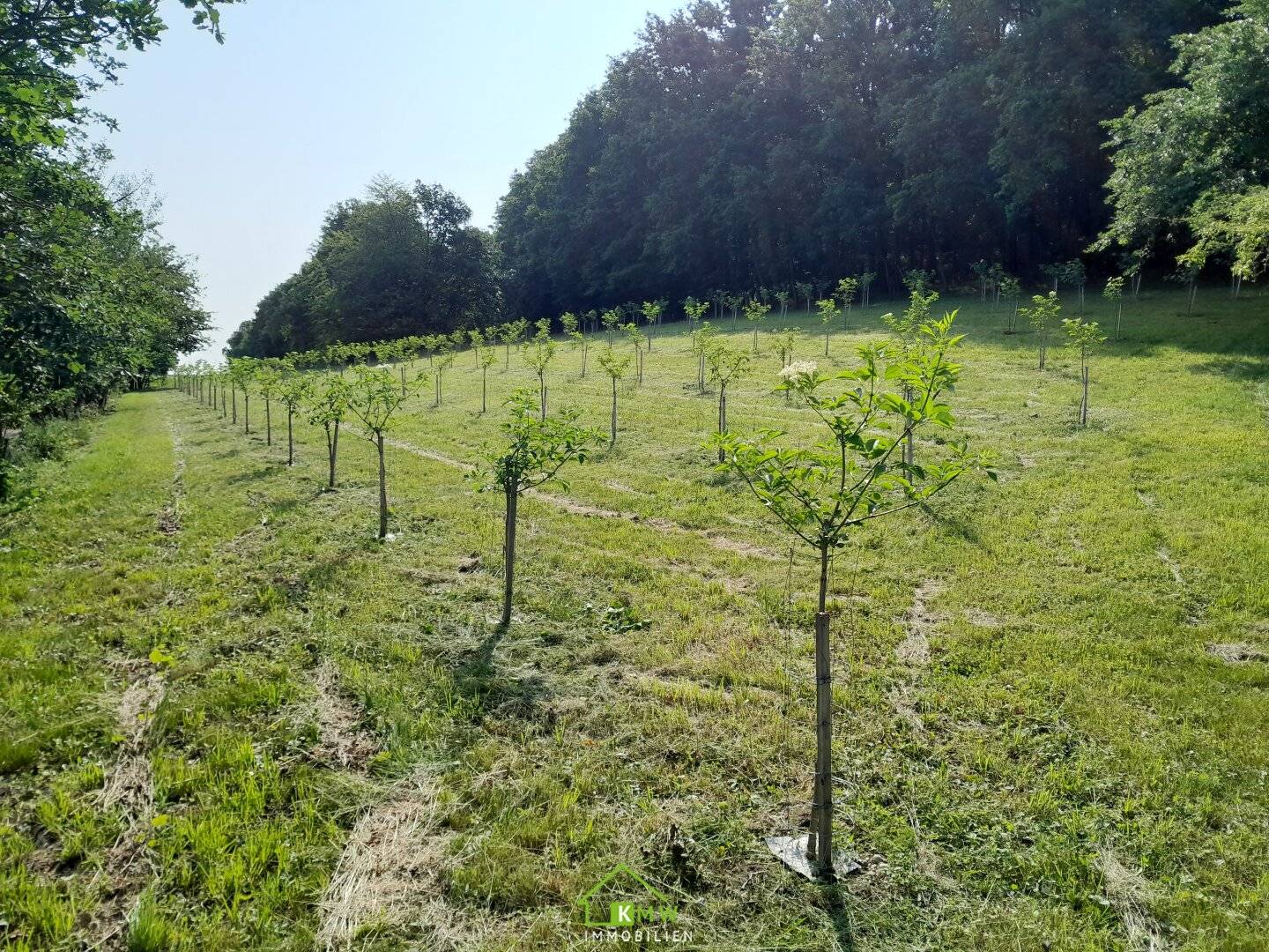 Obstbau Unternehmen - landwirtschaftlicher Betrieb in der Wachau