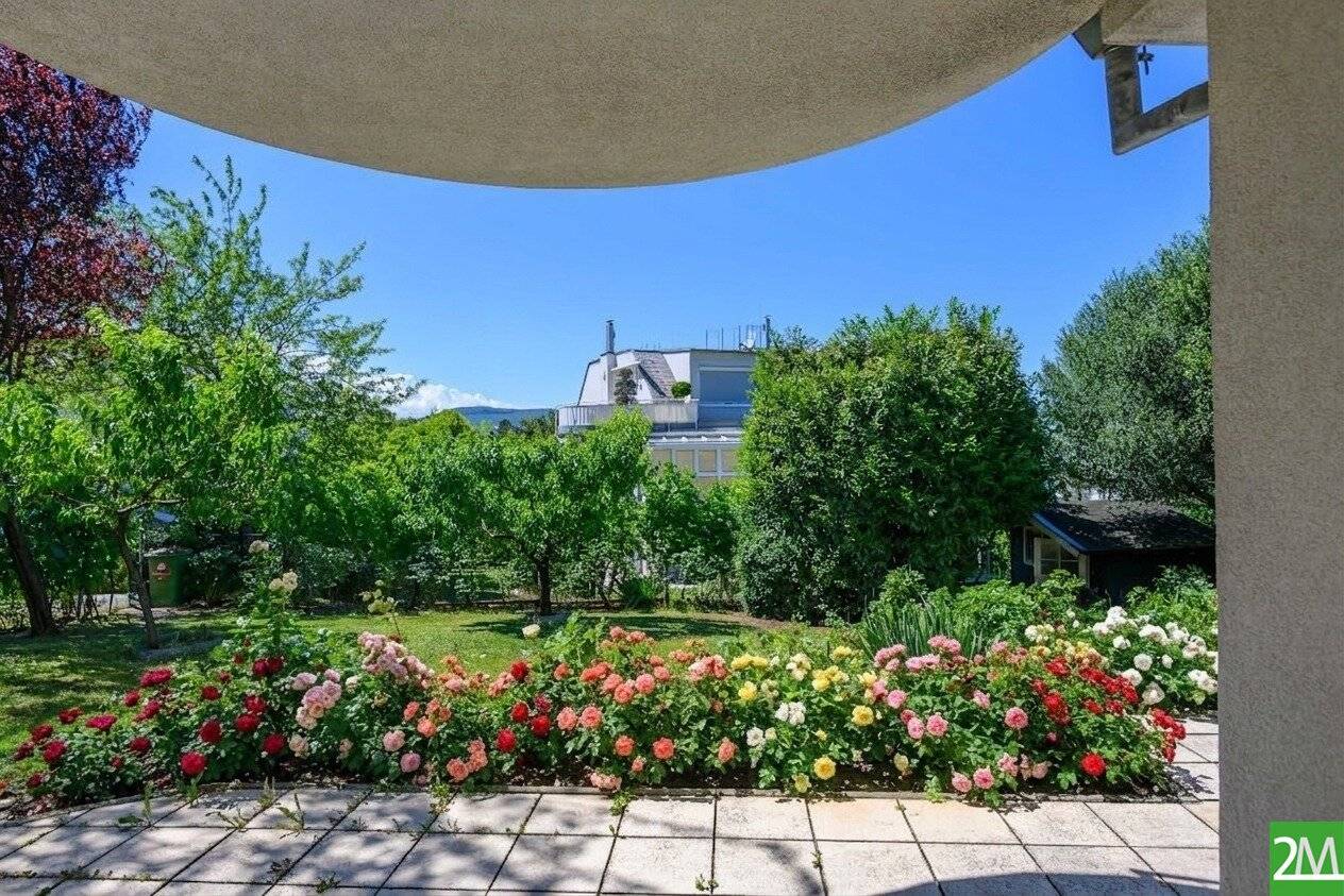 Where nature touches and life tempts a rare jewel in Hietzing