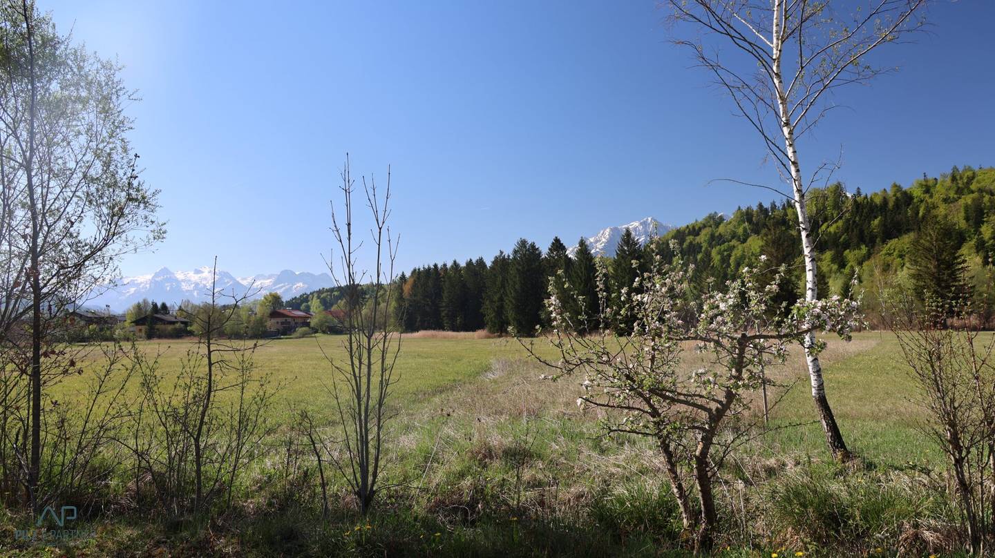 Natur pur - Traumlage Adnet!