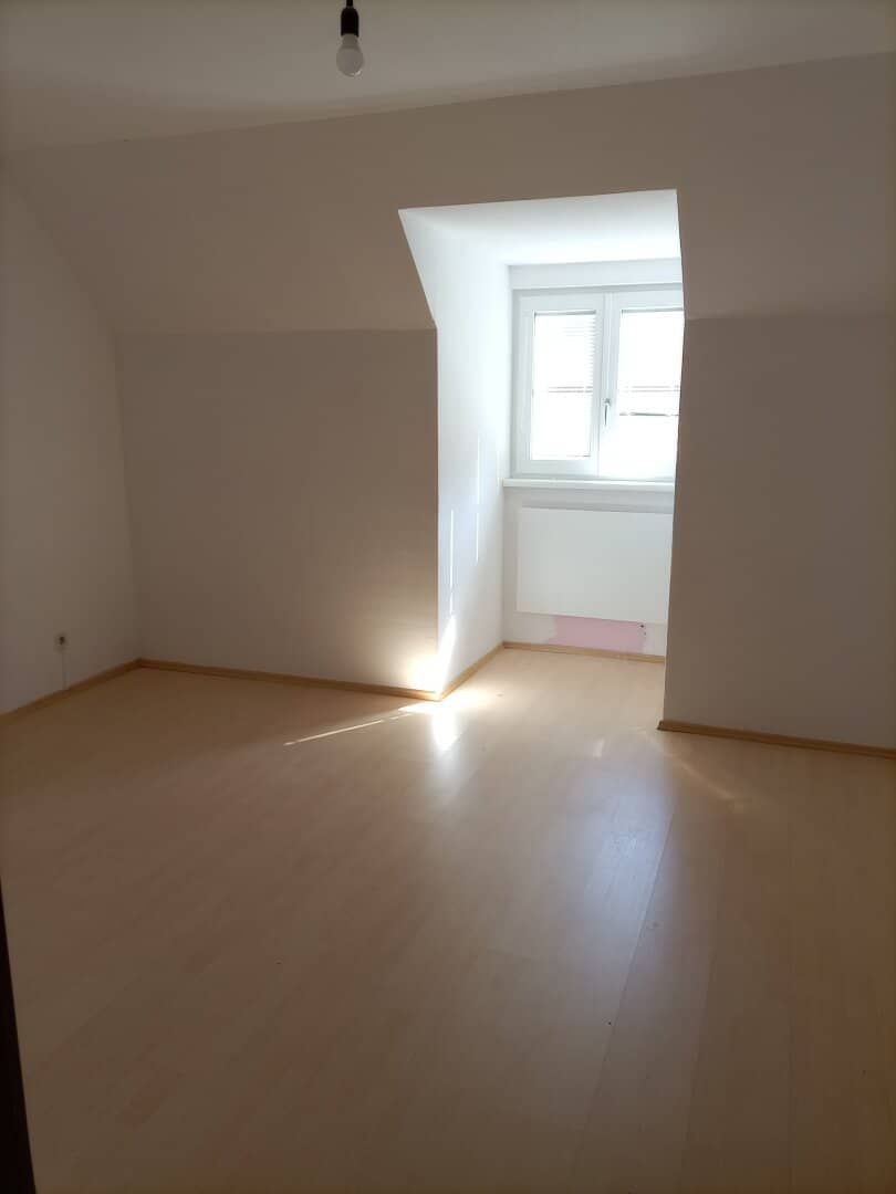 Beautiful rental apartment in the center of Horn
