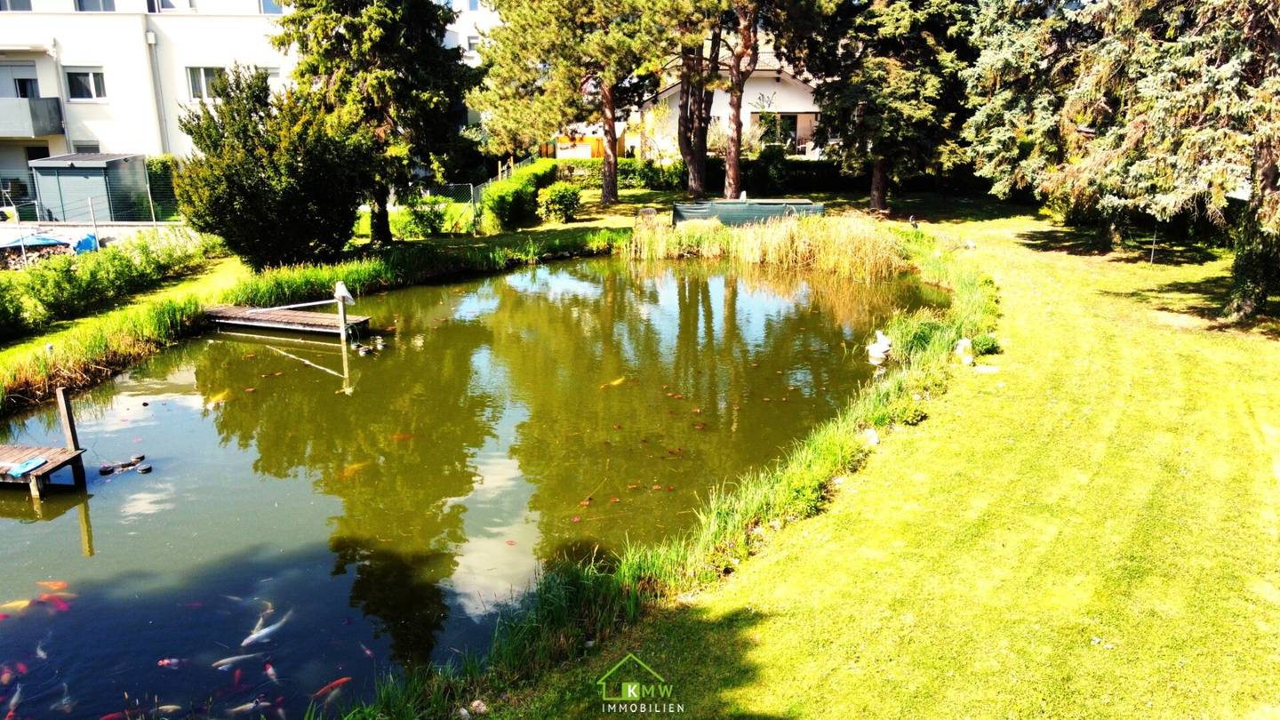 gepflegtes Wohnhaus in Ruhelage mit großem Garten, Schwimmteich und Doppelgarage