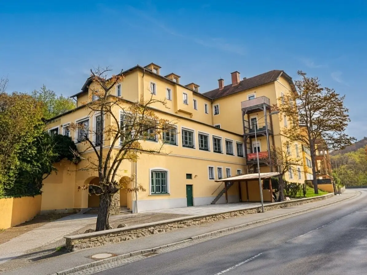 Einzigartige Wohnung mit Eigengarten: Ideal für Wohn- und/oder Geschäftszwecke