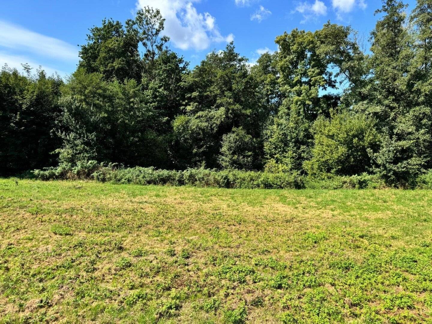 Schönes & sonniges Baugrundstück in Andorf: 1371 m² für Ihr Eigenheim!