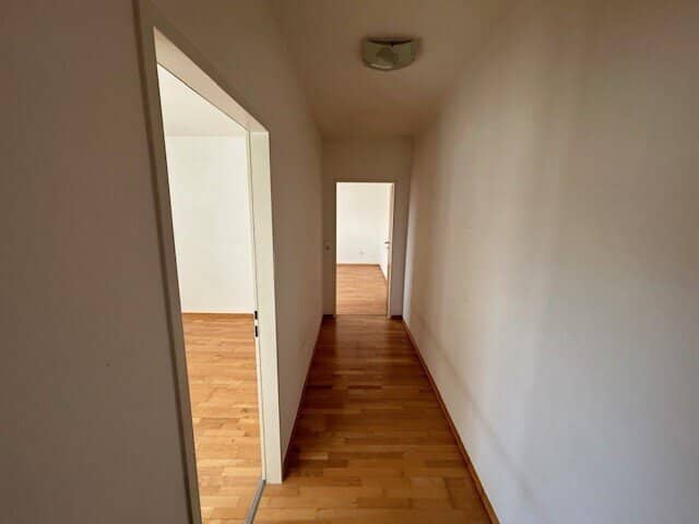 Rental apartment Horn