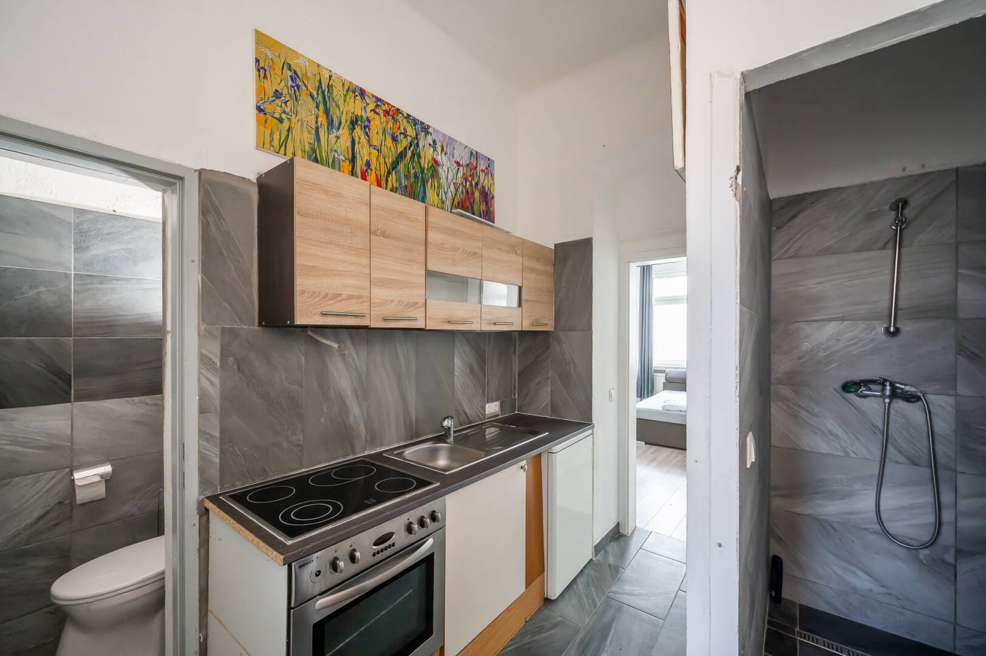 NEW renovation needed one room old building apartment