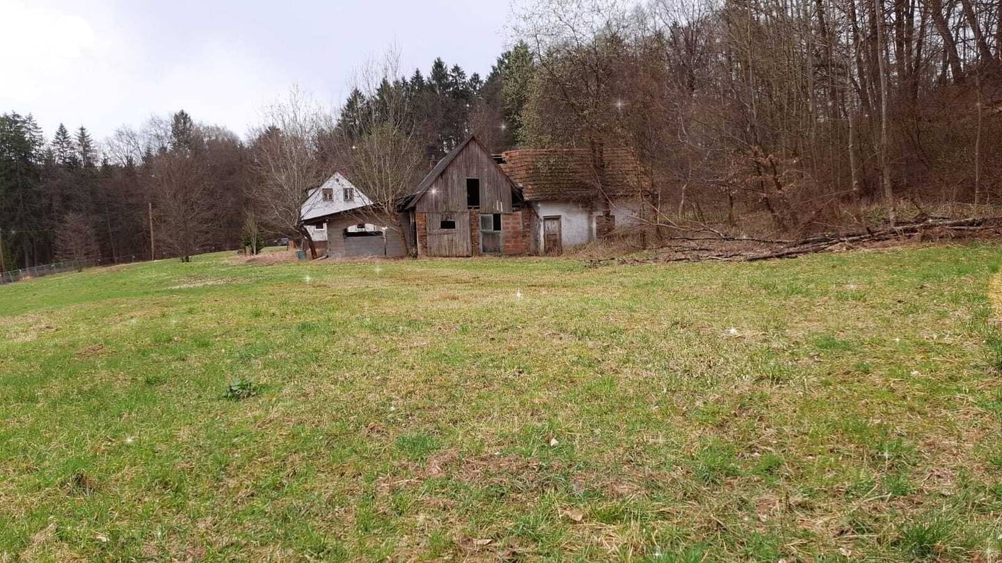 #SQ - VASOLDSBERG: 15337M² GRUNDSTÜCK MIT ALTBESTAND IN SONNIGER ALLEINLAGE NAHE GRAZ