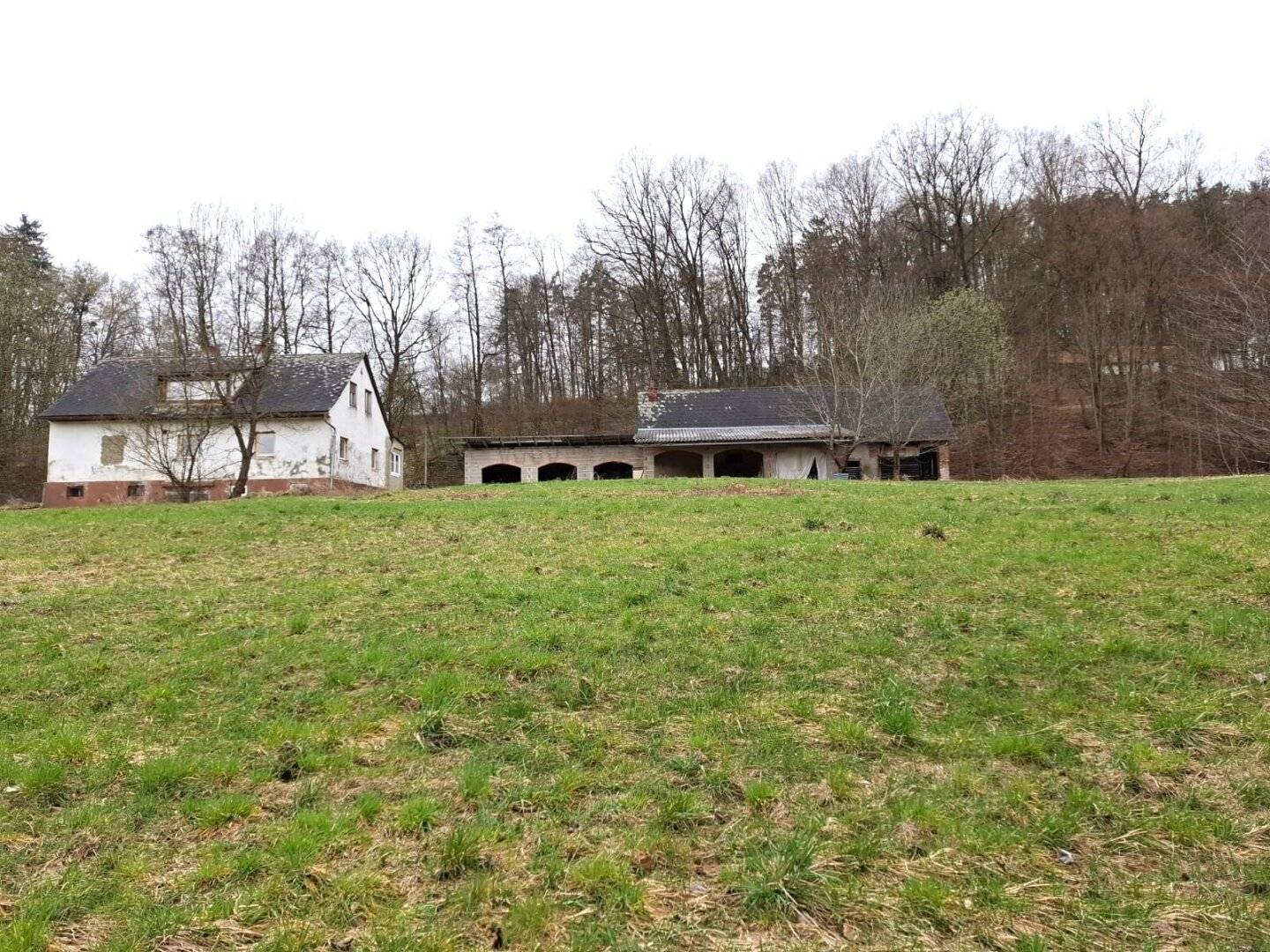 #SQ - VASOLDSBERG: 15337M² GRUNDSTÜCK MIT ALTBESTAND IN SONNIGER ALLEINLAGE NAHE GRAZ