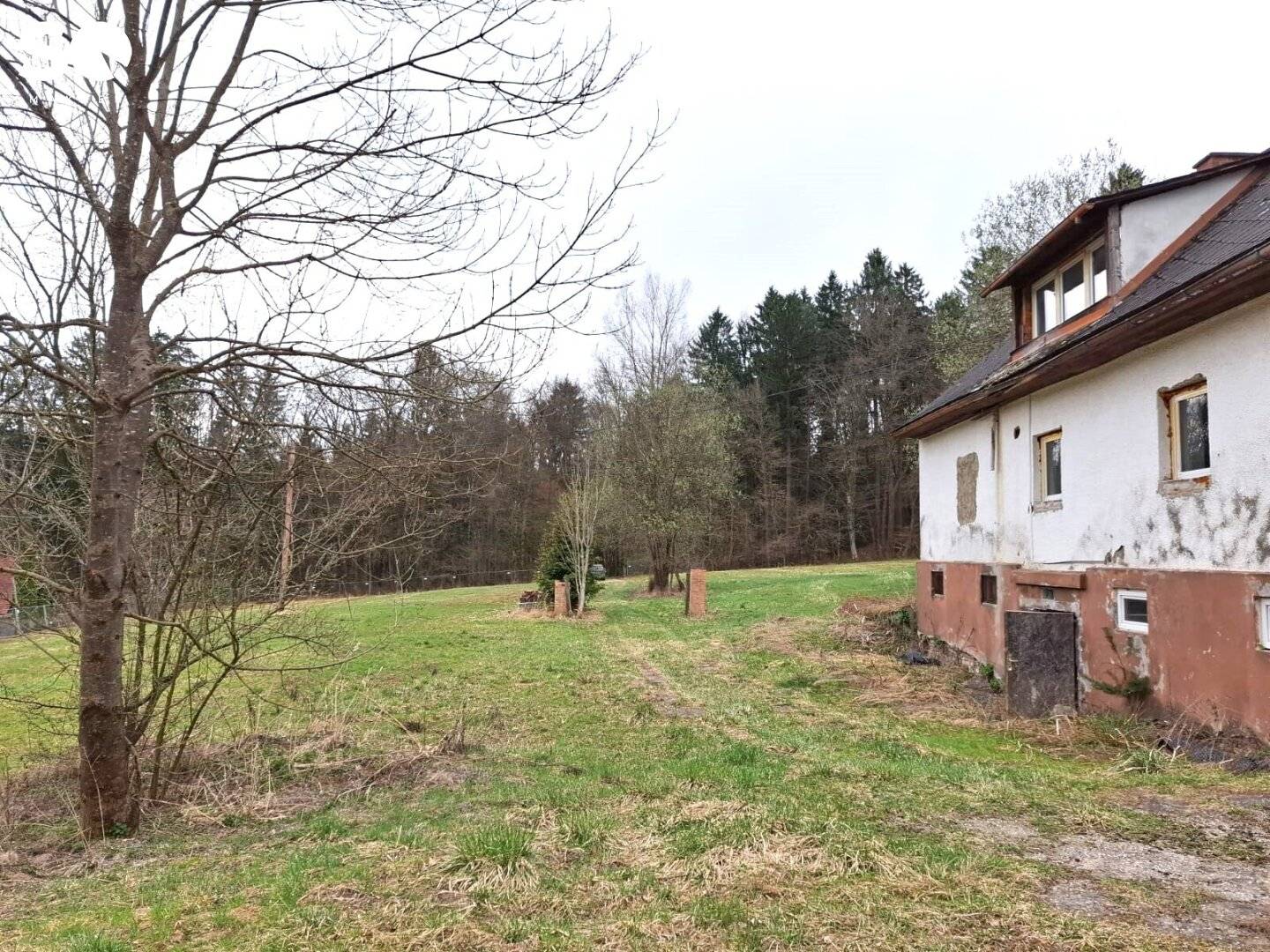 #SQ - VASOLDSBERG: 15337M² GRUNDSTÜCK MIT ALTBESTAND IN SONNIGER ALLEINLAGE NAHE GRAZ