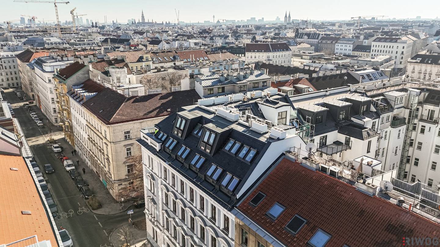 Borschkegasse 15