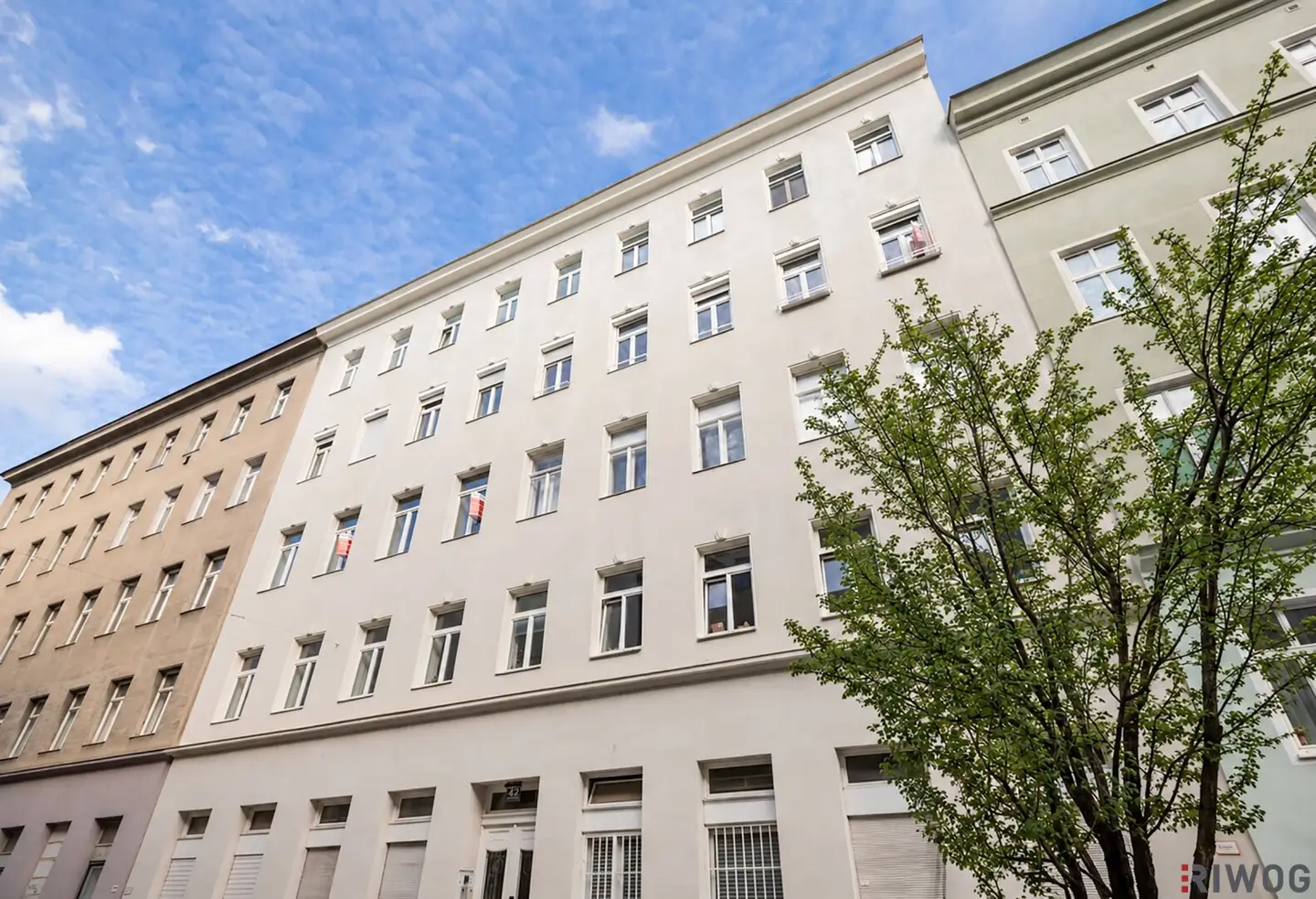 Diehlgasse 42