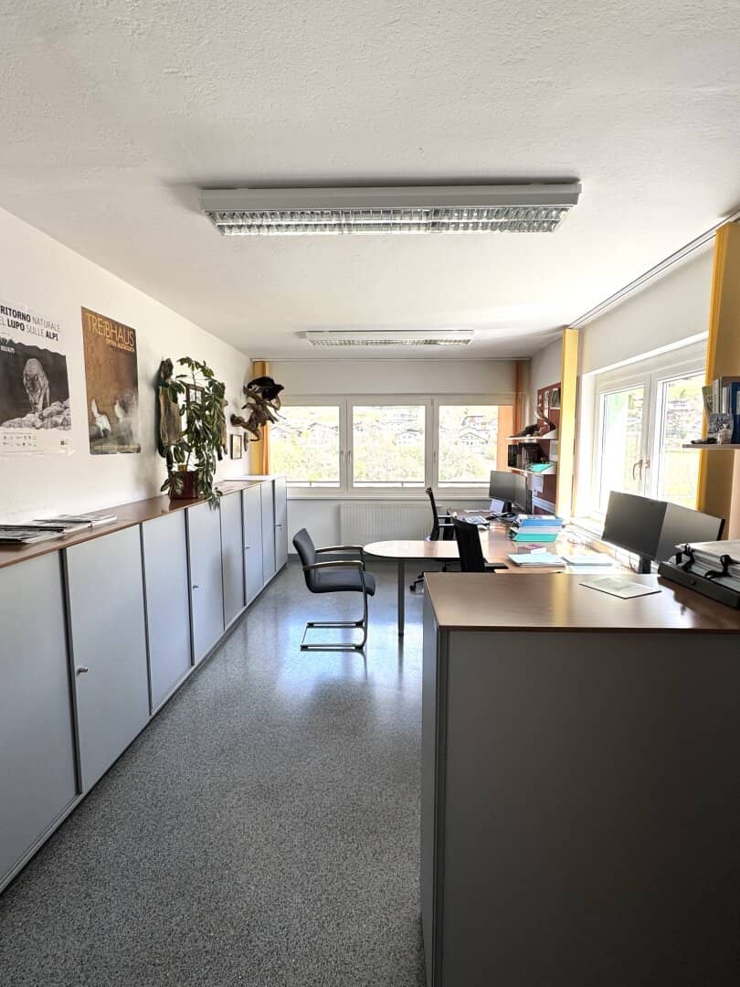 Spacious office with balcony and mountain view in Steinach am Brenner