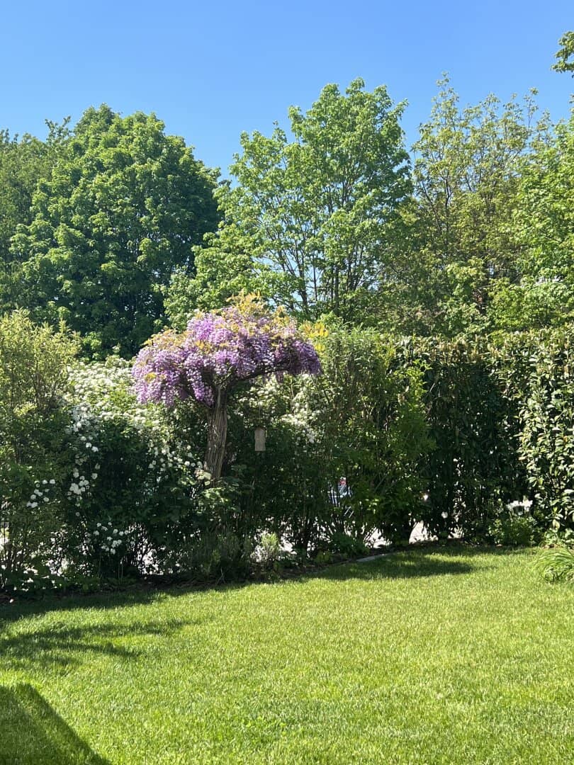 TOP LAGE - GARTEN -  NEUWERTIG