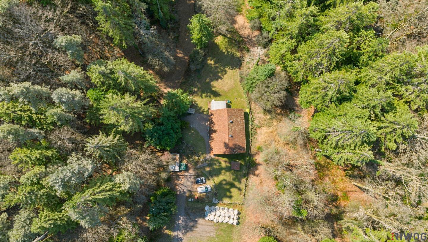 Charmantes Einfamilienhaus in absoluter Ruhelage | ca. 160 m² Nutzfläche | 859 m² Eigengrund | Bucklige Welt | 360°- Rundgang