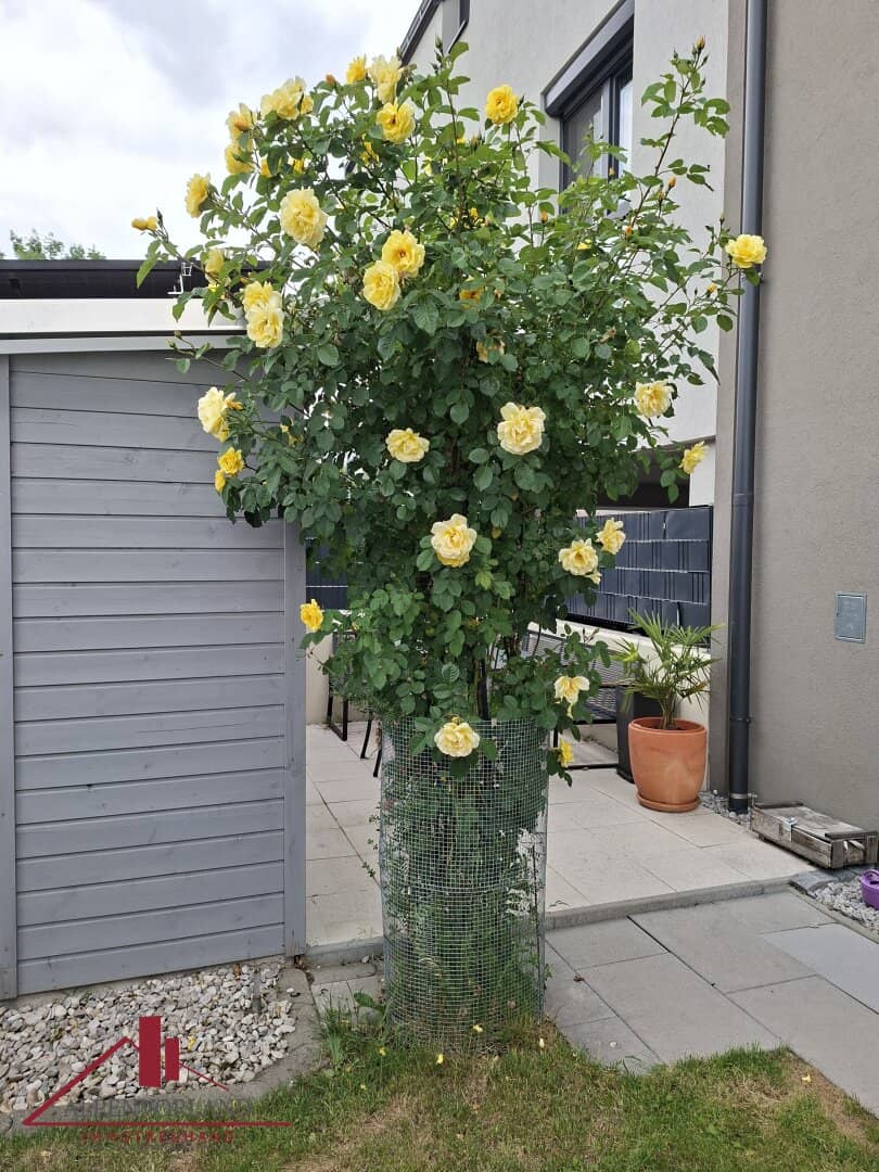 Like new condominium with 4 rooms, 2 terraces and 3 parking spaces in Ebreichsdorf