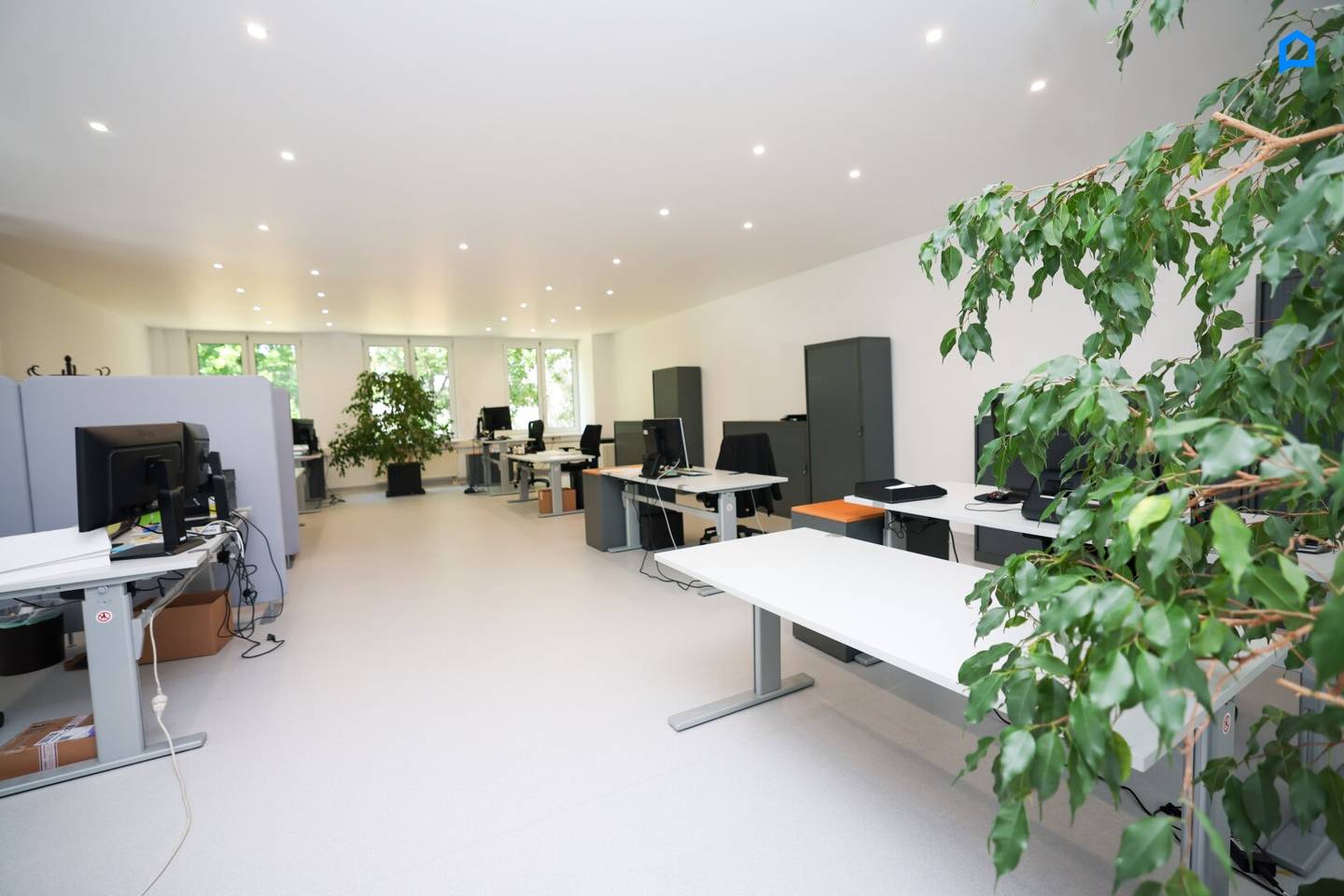 Modern office 545m² (or divisible into 2x270m²), fifteen to twenty rooms in total possible, kitchenette, toilets, optional parking spaces, optional basement