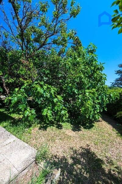 Einfamilienhaus, Zentrumsnähe mit Grünruhelage – Baugrundstück mit Entwicklungspotenzial - 1540m² Grund- für Bauträger- Familien - Investoren