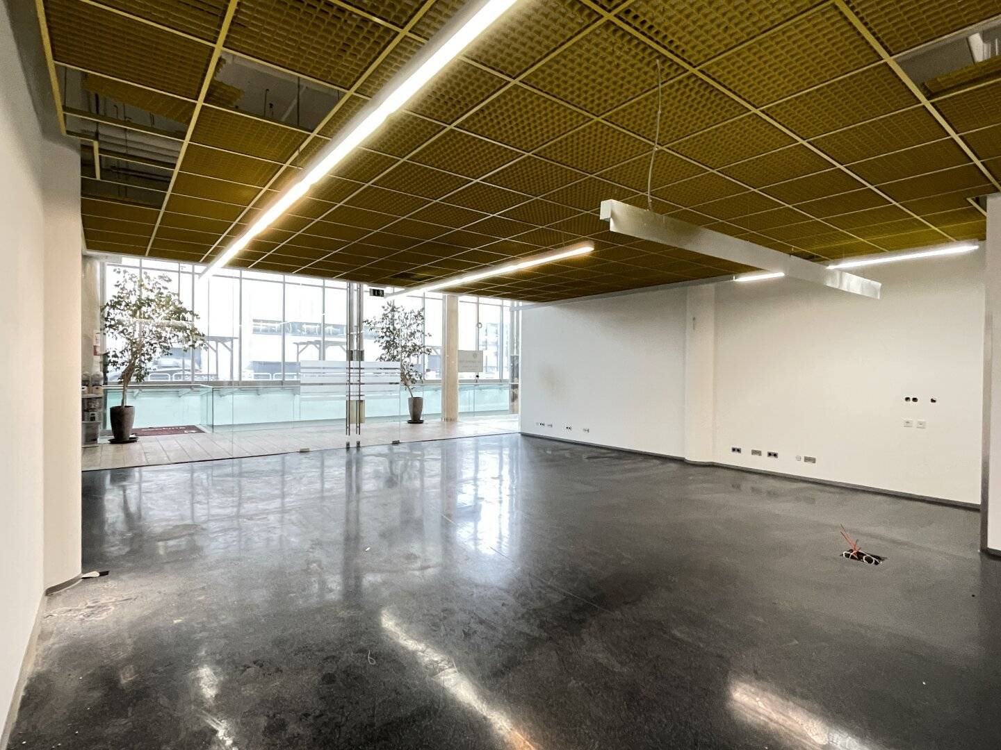 Geschäftslokal im Atrium West – Wals-Himmelreich