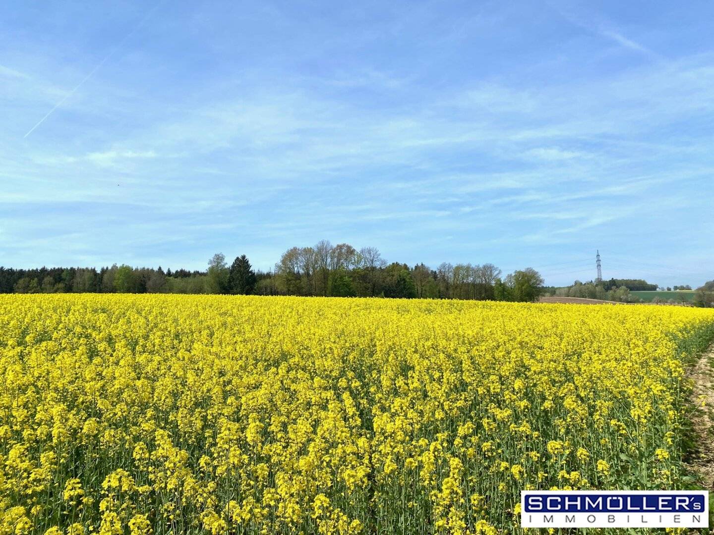 Leben am Land! Grundstück in Gunskirchen-Irnharting